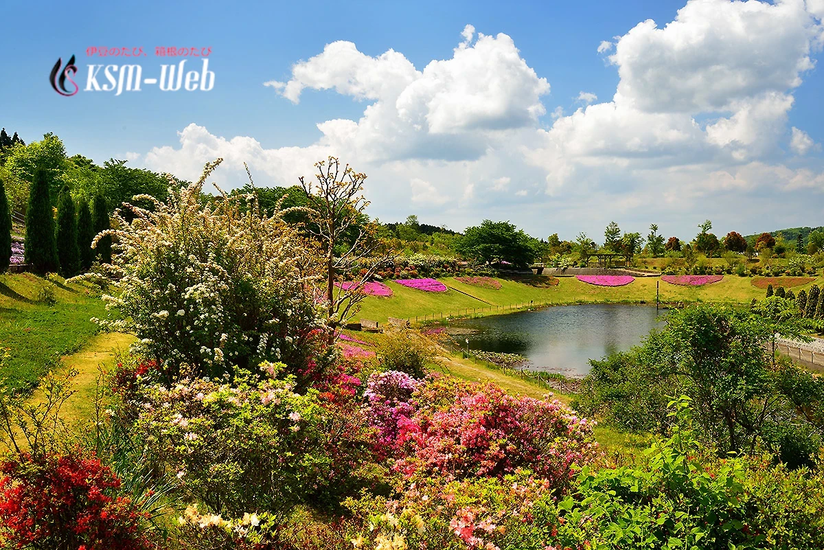 大仁瑞泉郷の池と芝桜の写真