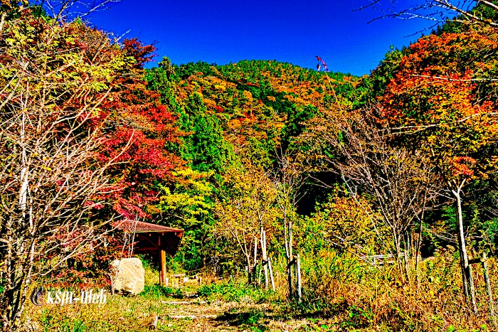 堂ヶ島渓谷紅葉の画像です