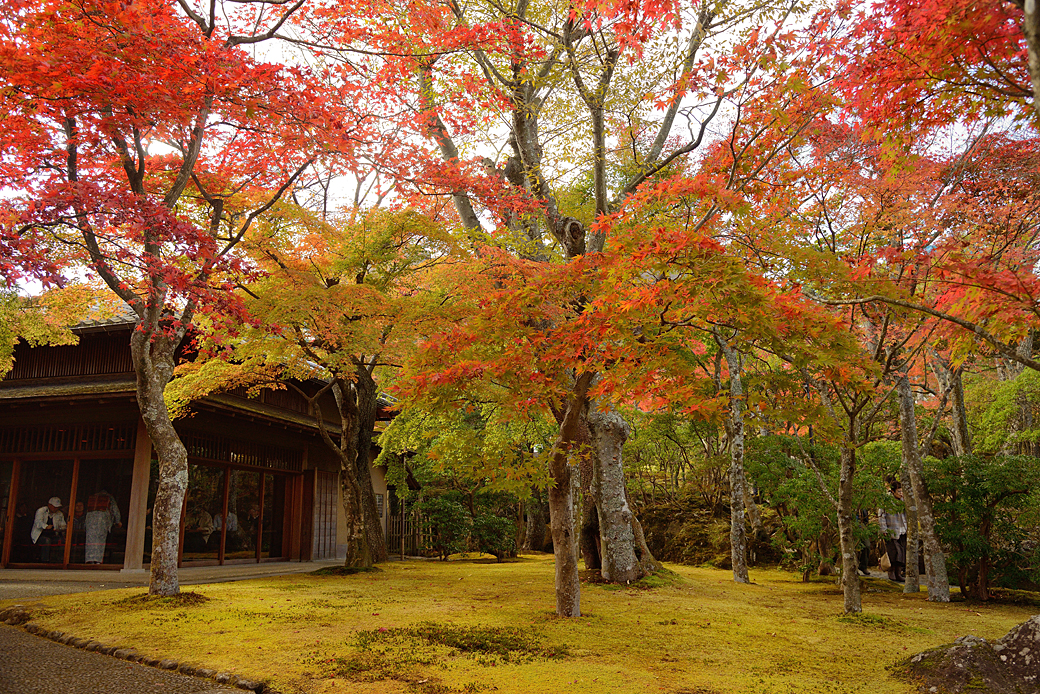 箱根美術館の紅葉
