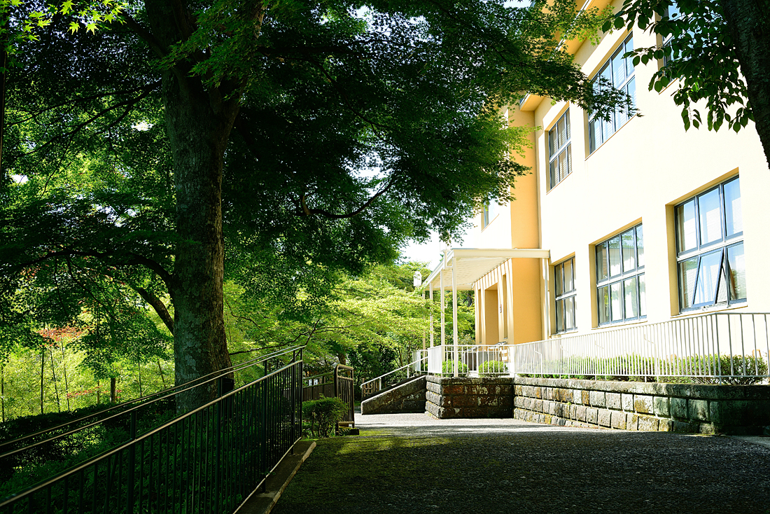新緑の箱根美術館
