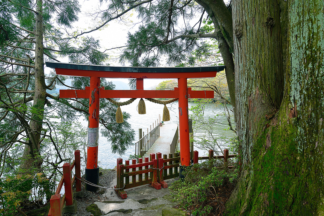 新緑の九頭龍神社本宮