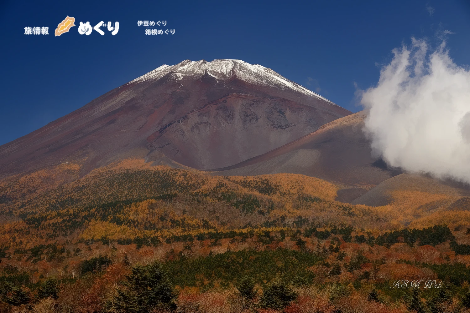 水ケ塚公園からの富士山の写真