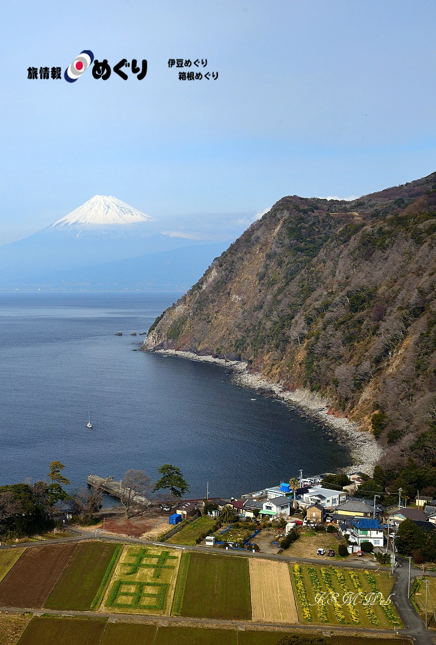 煌きの丘からの富士山