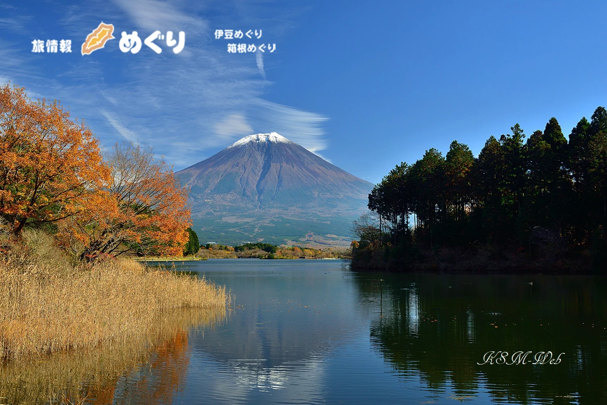 富士山と白糸の滝の写真