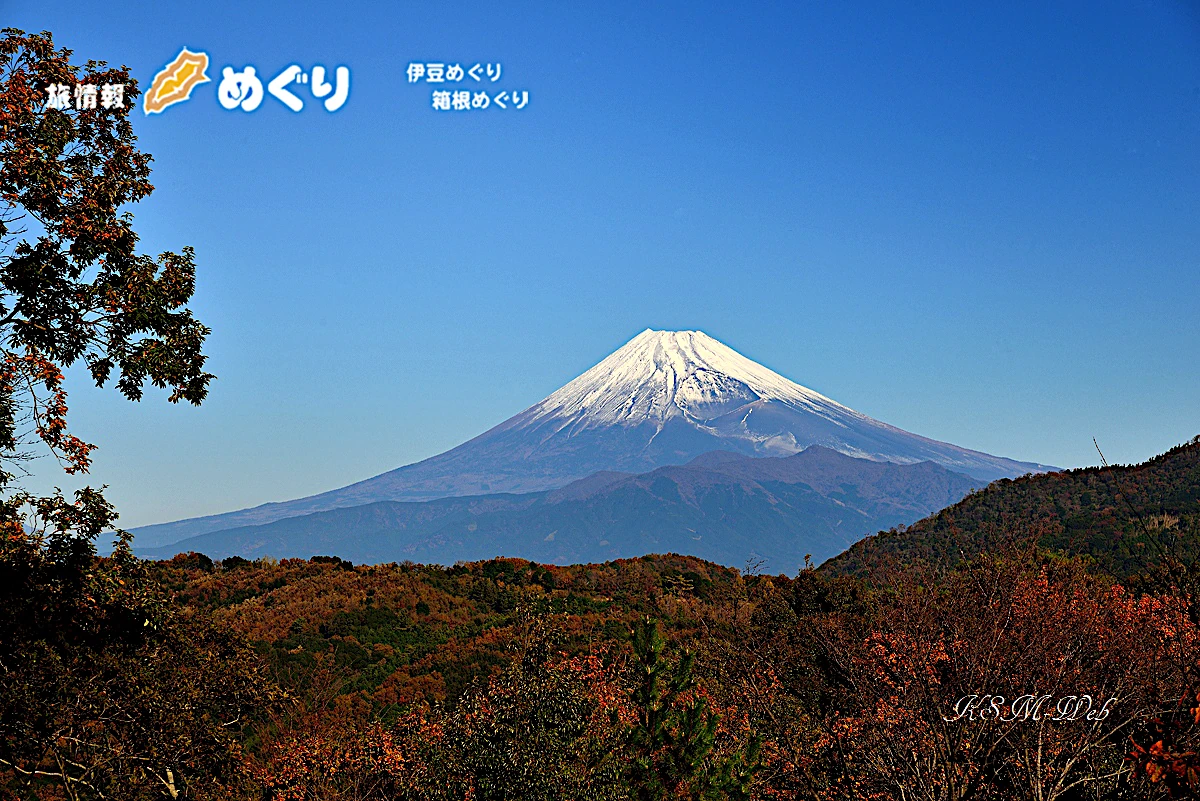 修善寺自然公園もみじ林からの富士山