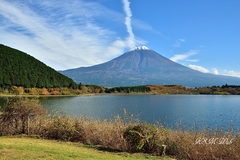 田貫湖と富士山