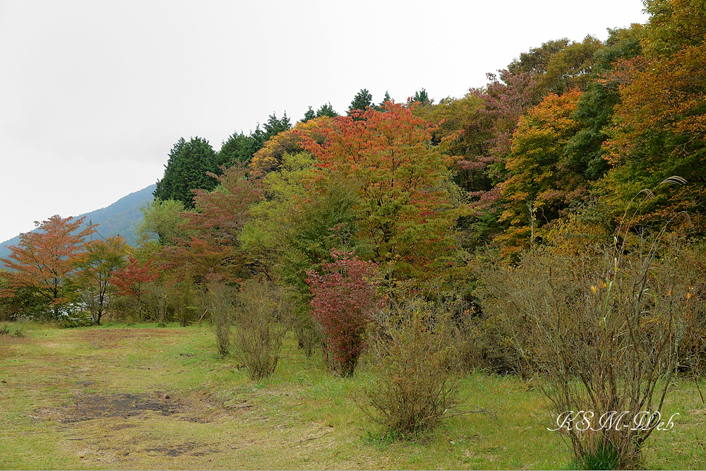 裾野十里木の紅葉