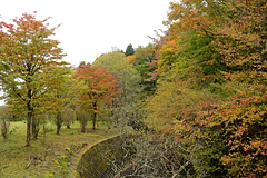 西臼塚駐車場周辺の紅葉