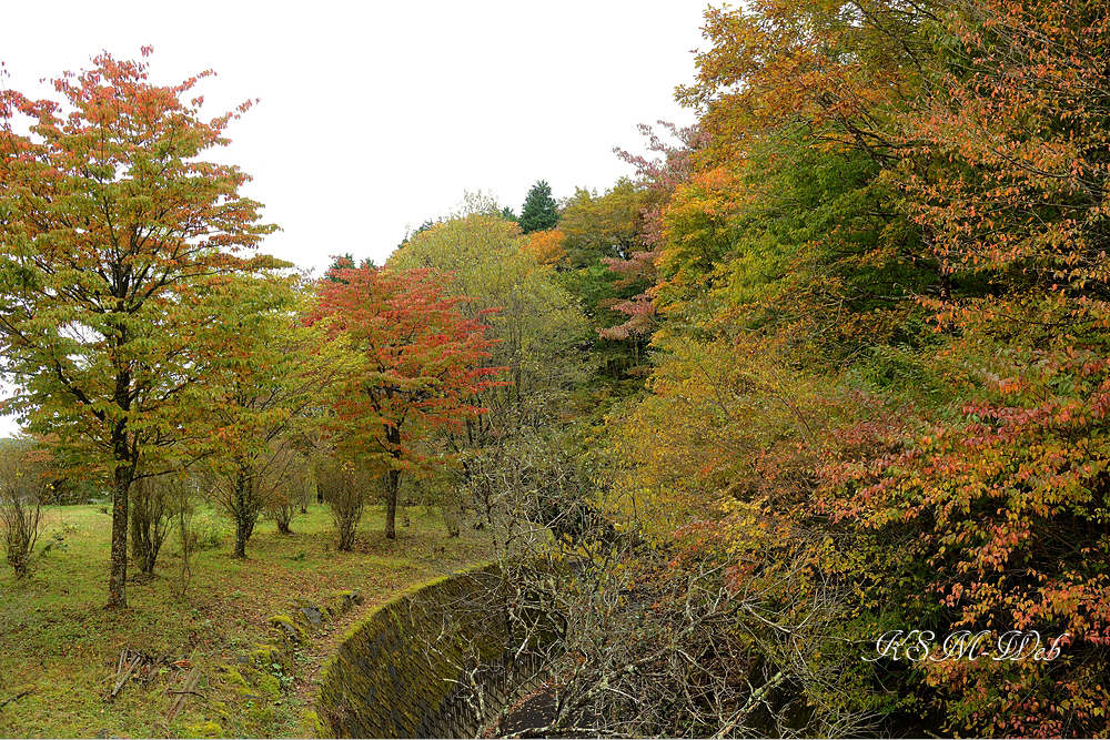 裾野十里木の紅葉