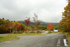 西臼塚駐車場周辺の紅葉