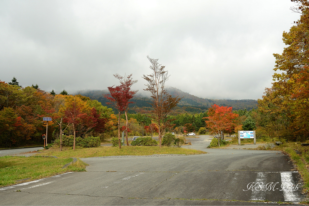 西臼塚駐車場周辺の紅葉