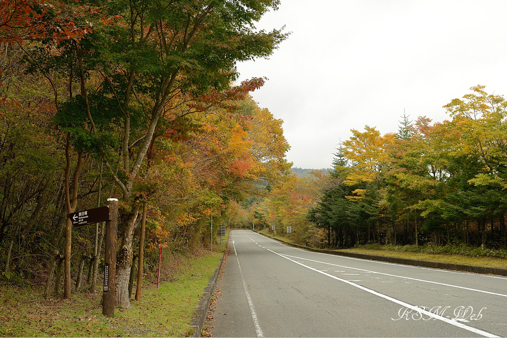 西臼塚駐車場周辺の紅葉