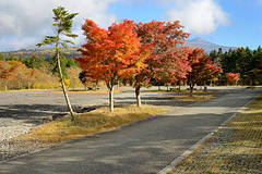 西臼塚駐車場周辺の紅葉