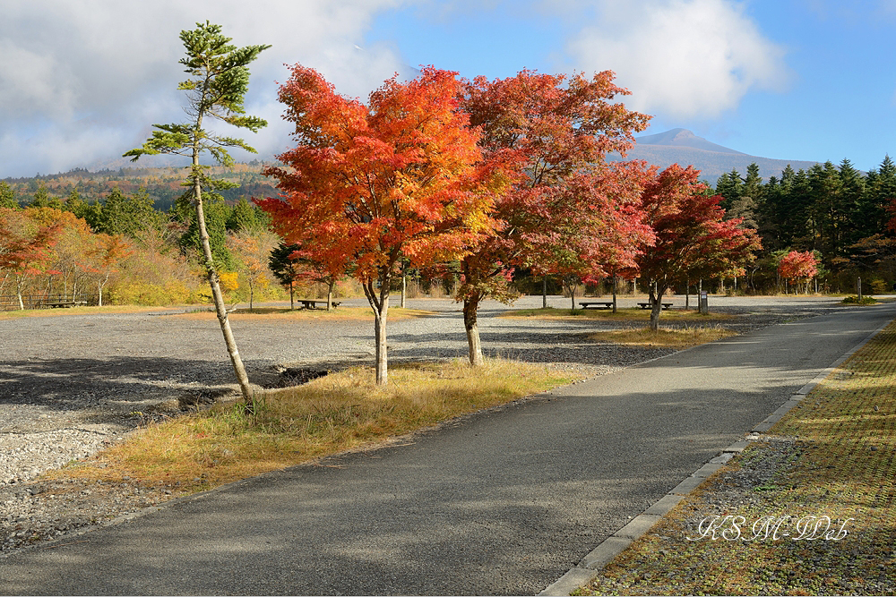 西臼塚駐車場周辺の紅葉