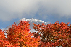 西臼塚駐車場周辺の紅葉