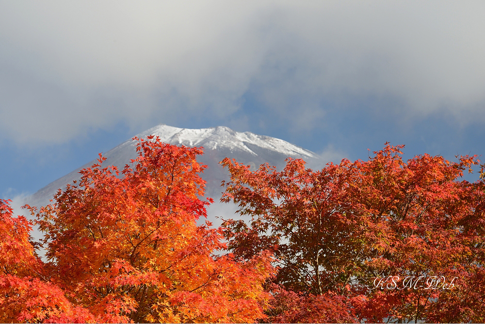 西臼塚駐車場周辺の紅葉