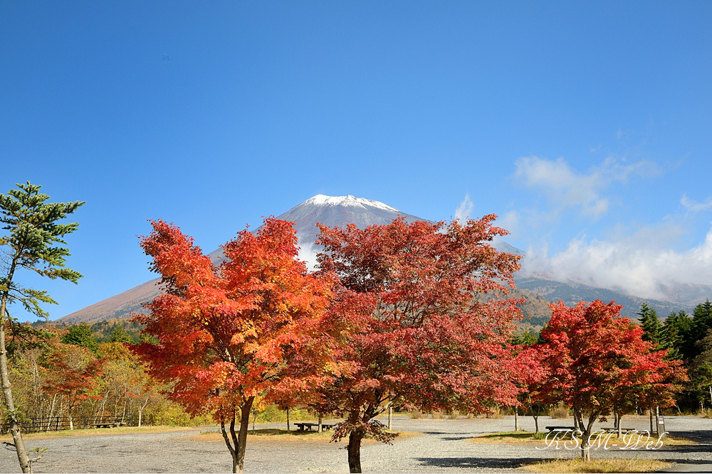 西臼塚駐車場周辺の紅葉