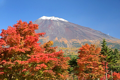 西臼塚駐車場周辺の紅葉