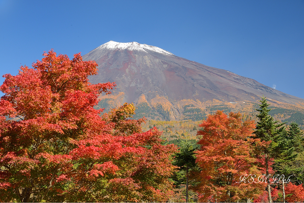 西臼塚駐車場周辺の紅葉