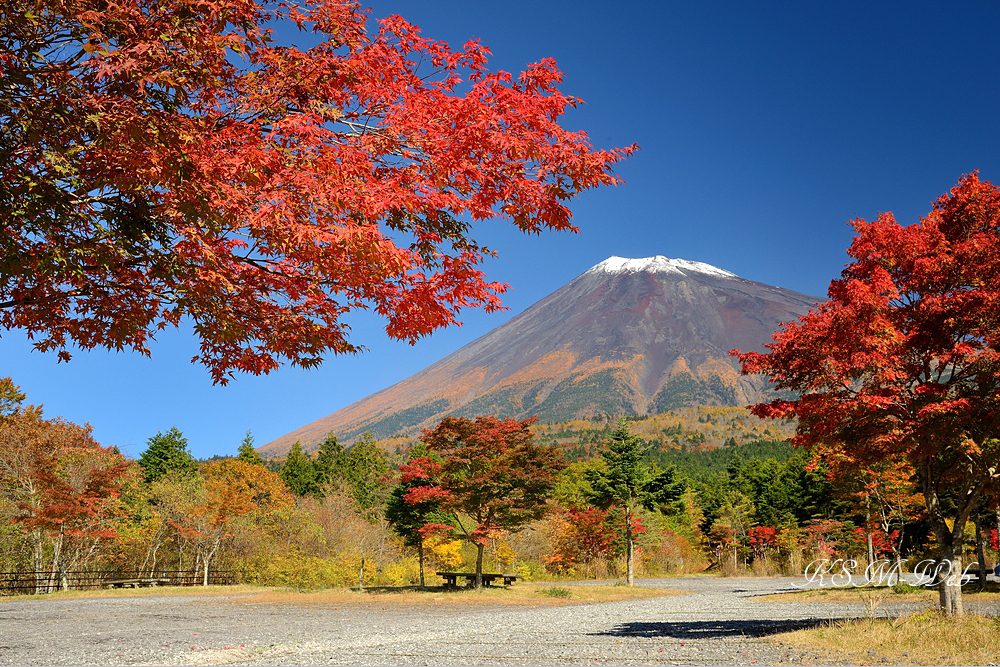 西臼塚駐車場周辺の紅葉