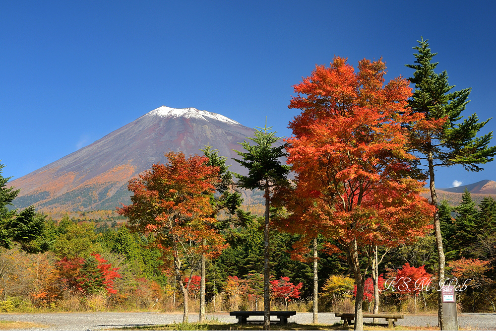 西臼塚駐車場周辺の紅葉