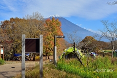 田貫湖キャンプ場の紅葉と富士山