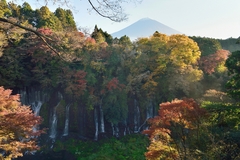 白糸の滝の紅葉と富士山