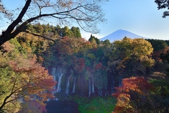 白糸の滝の紅葉と富士山