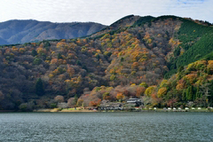 裾野十里木の紅葉