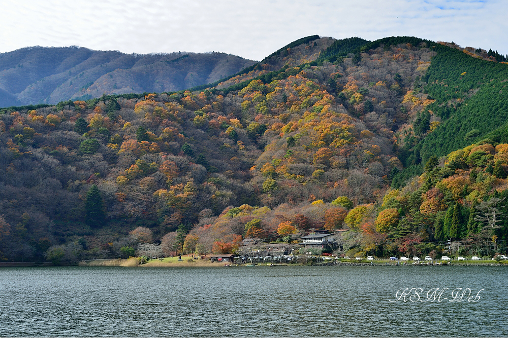 田貫湖の紅葉