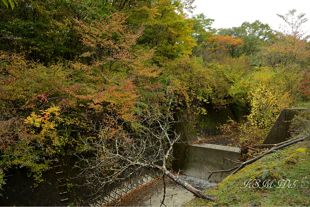 裾野十里木の紅葉