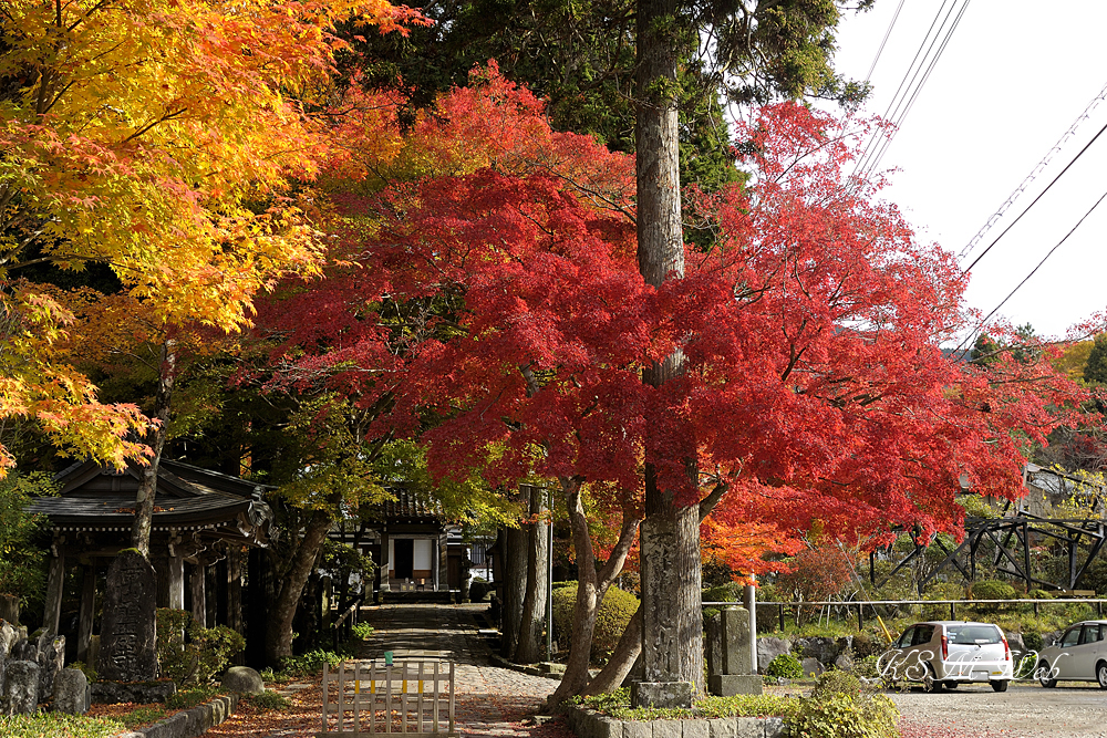 箱根仙石原長安寺の紅葉