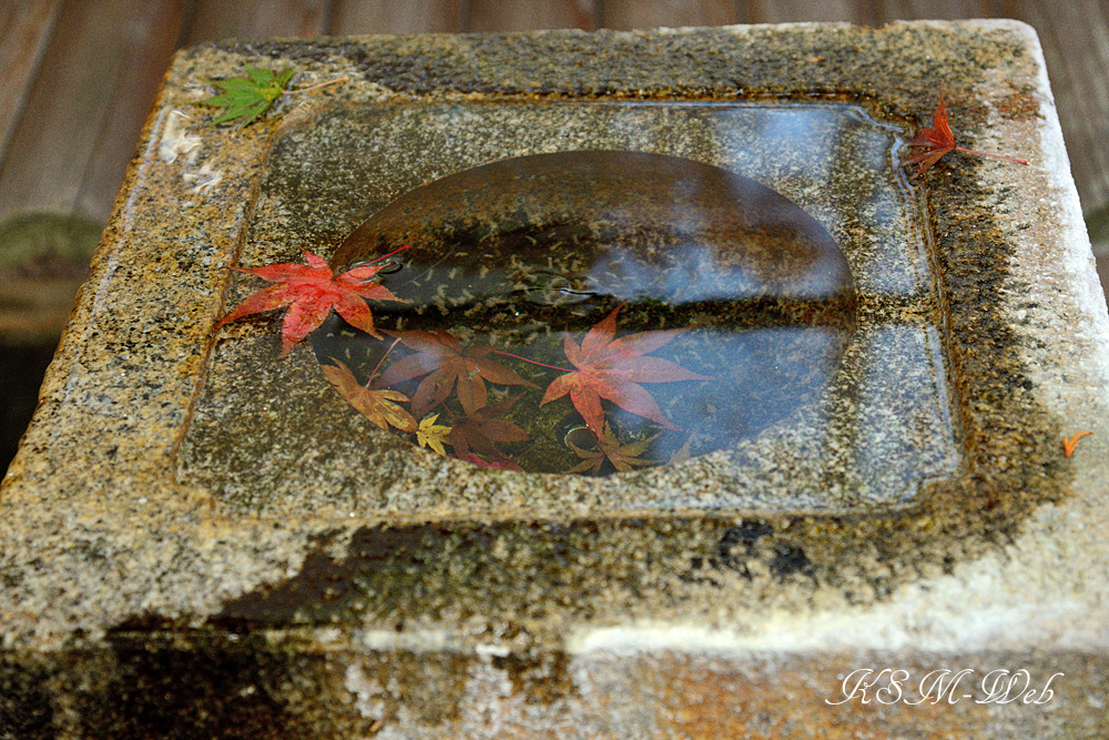 箱根美術館の紅葉