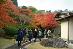 箱根美術館庭園の紅葉