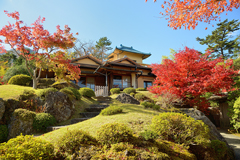 箱根美術館庭園の紅葉