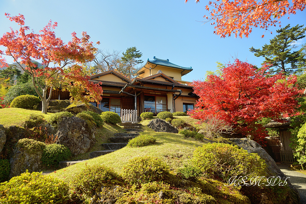 箱根美術館庭園の紅葉