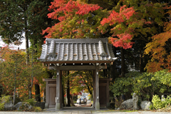 仙石原長安寺山門の紅葉