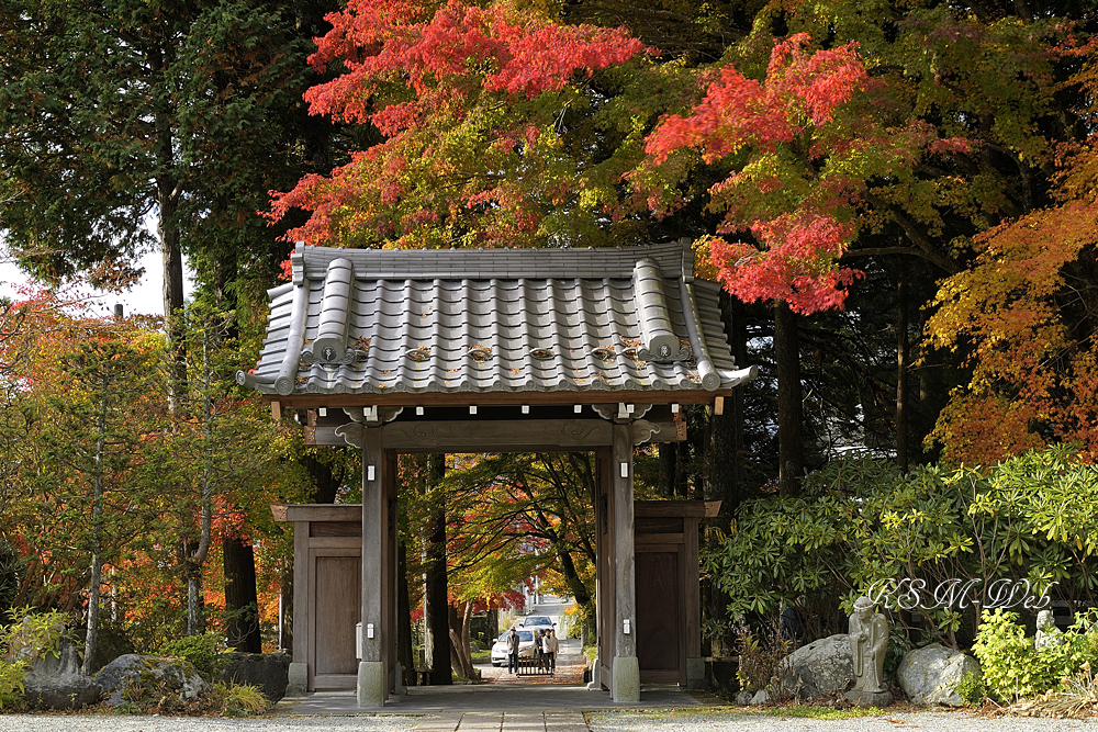 仙石原長安寺山門の紅葉