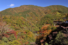 箱根の紅葉