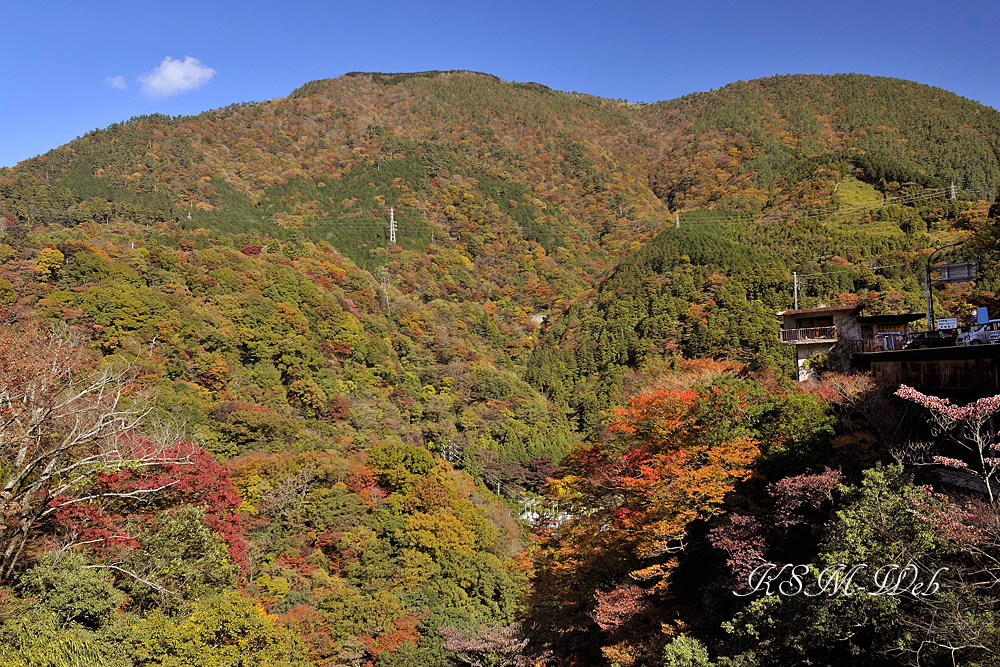 箱根の紅葉