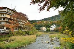 箱根湯本の紅葉