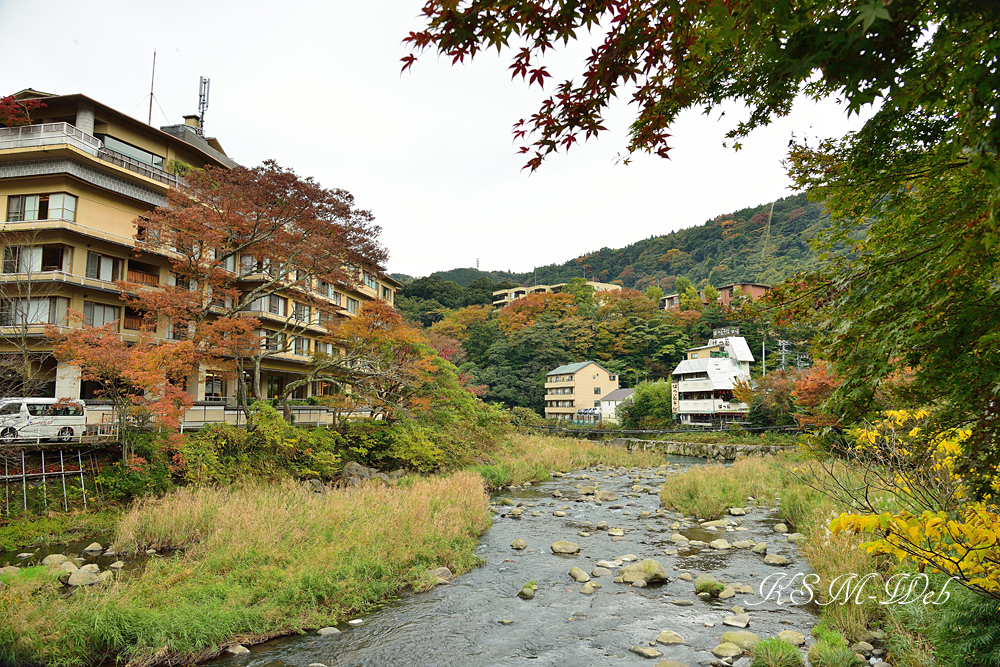 箱根湯本の紅葉