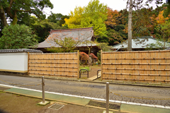 箱根早雲寺の紅葉