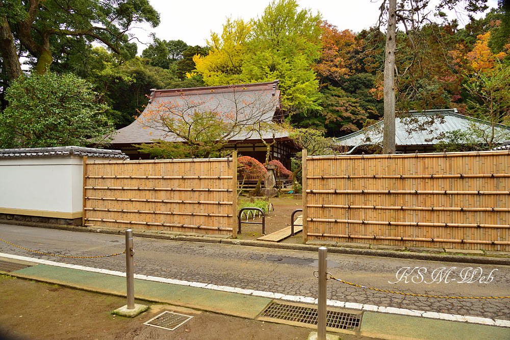 箱根早雲寺の紅葉