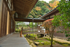 箱根早雲寺の紅葉