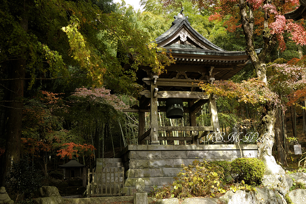 仙石原長安寺鐘楼堂の紅葉