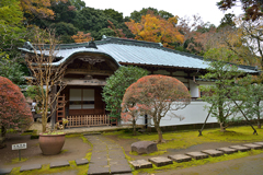 箱根早雲寺の紅葉