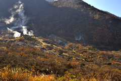 箱根大涌谷の紅葉