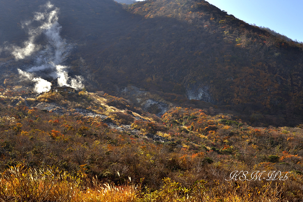 箱根大涌谷の紅葉