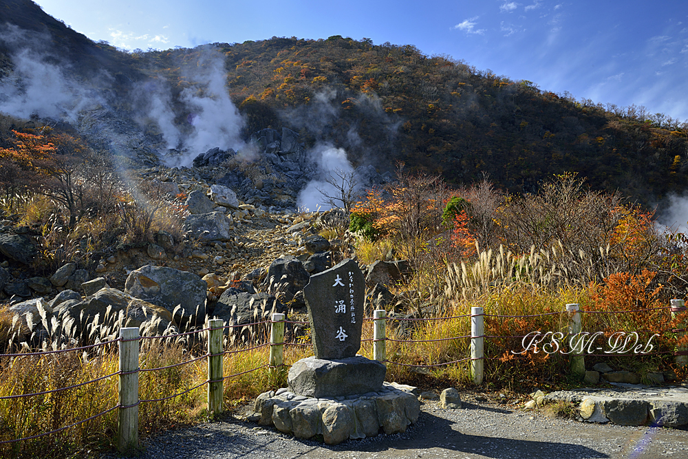 箱根大涌谷の紅葉